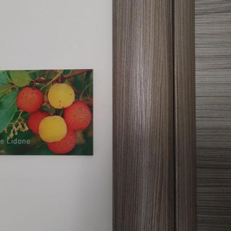 Sa Mama 'E Su Sole Bed and Breakfast Cagliari Buitenkant foto