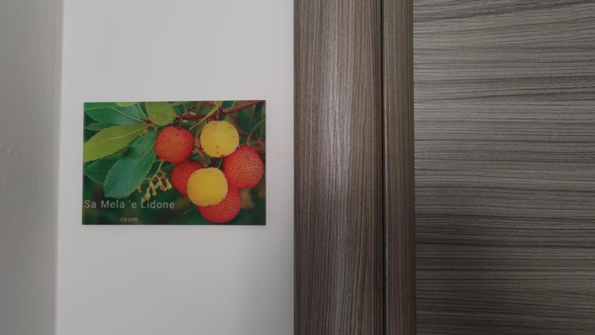 Sa Mama 'E Su Sole Bed and Breakfast Cagliari Buitenkant foto